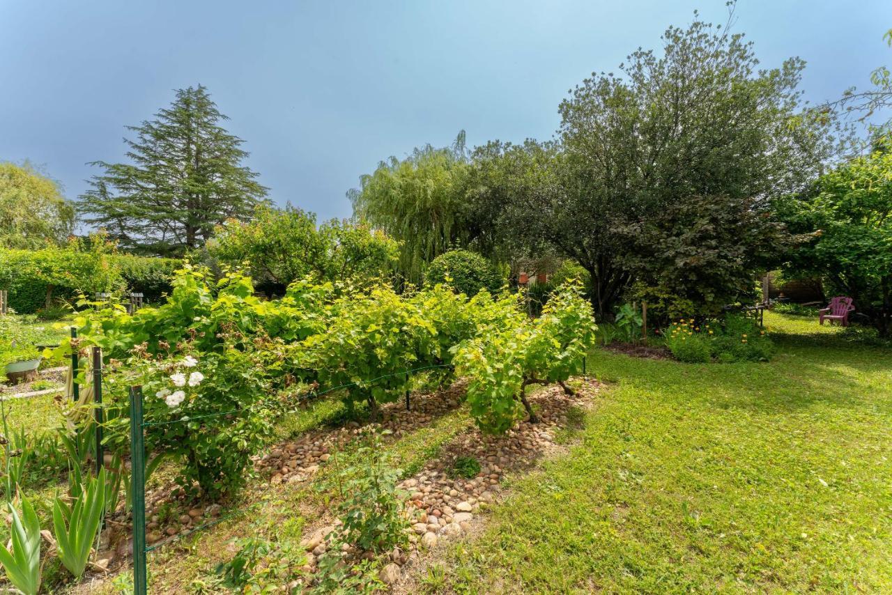 Villa La Mireio Malaucène エクステリア 写真