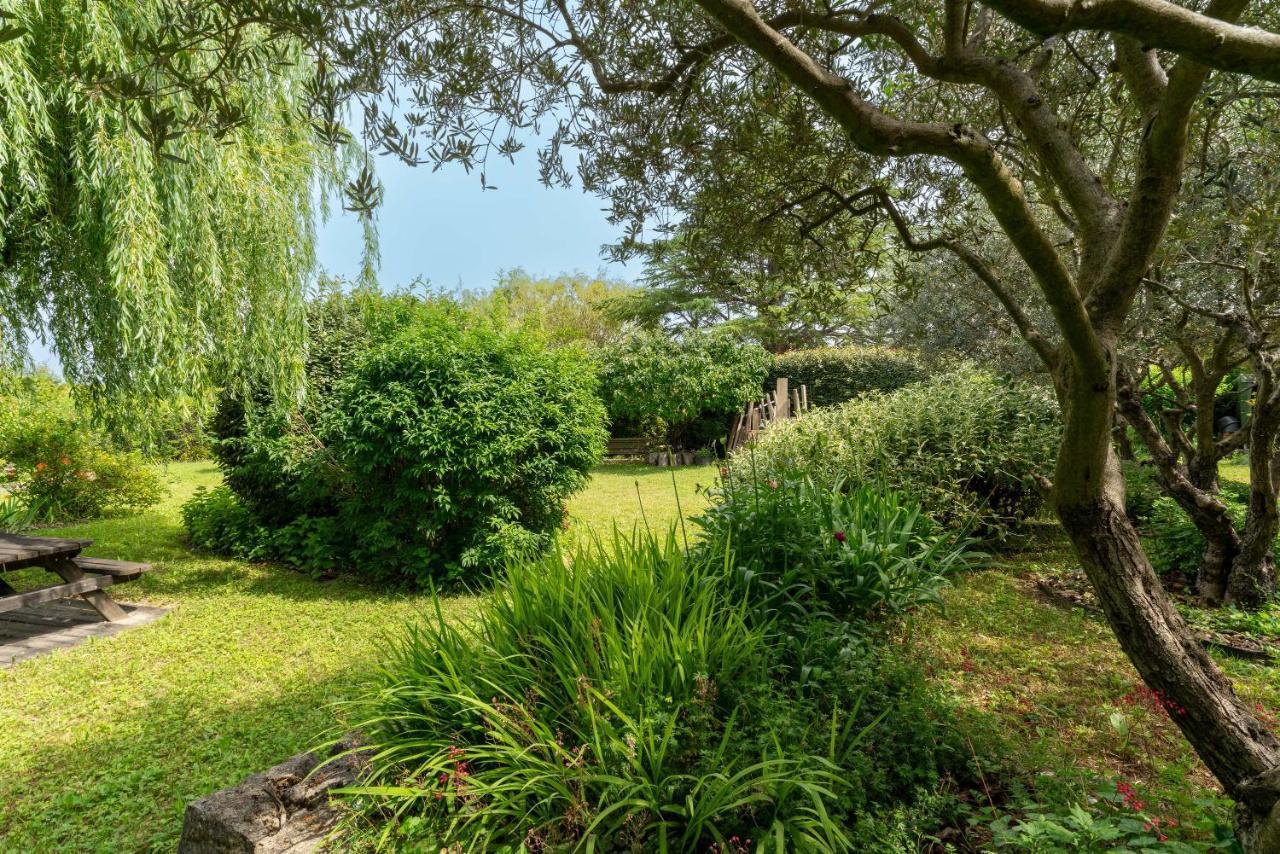 Villa La Mireio Malaucène エクステリア 写真