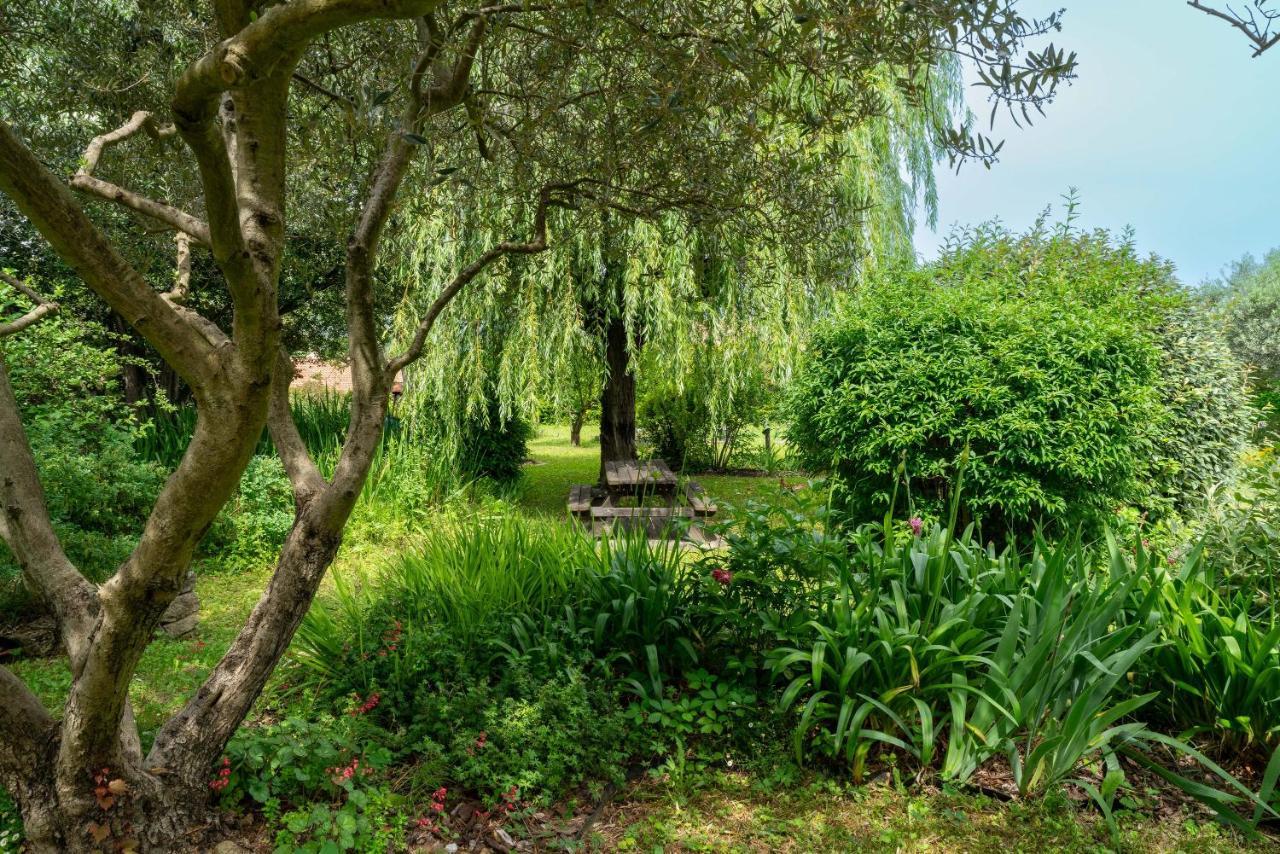 Villa La Mireio Malaucène エクステリア 写真